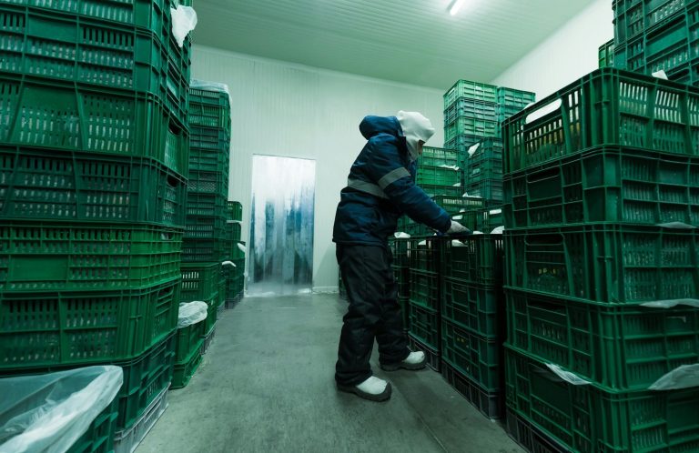Técnicos Expertos en Refrigeración Agricola